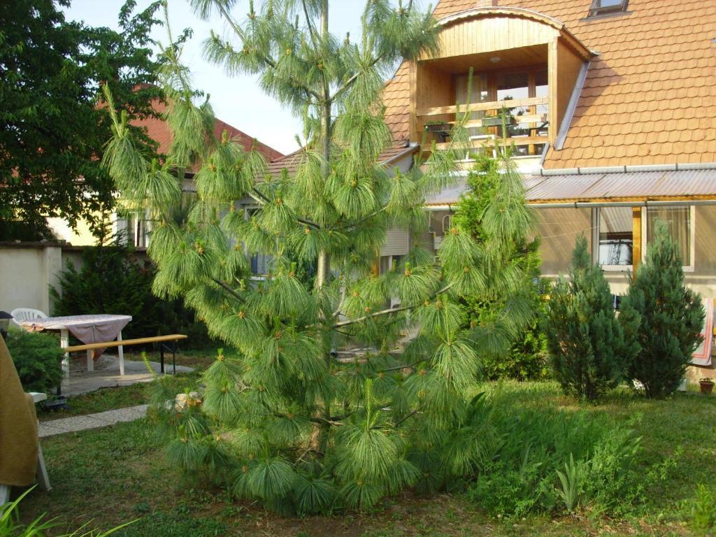 Appartement Komfort *